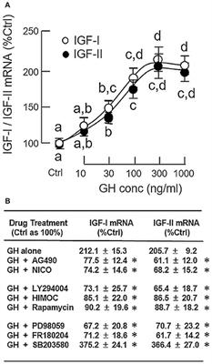 Mechanisms Underlying the Synergistic Action of Insulin and Growth Hormone on IGF-I and -II Expression in Grass Carp Hepatocytes